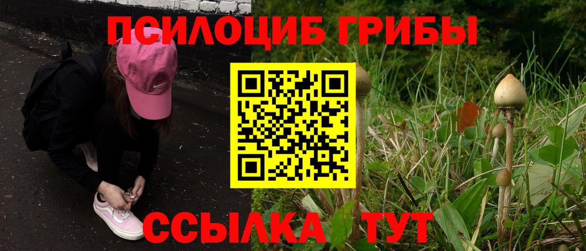 Псилоцибиновые грибы Psilocybine cubensis Нижний Тагил